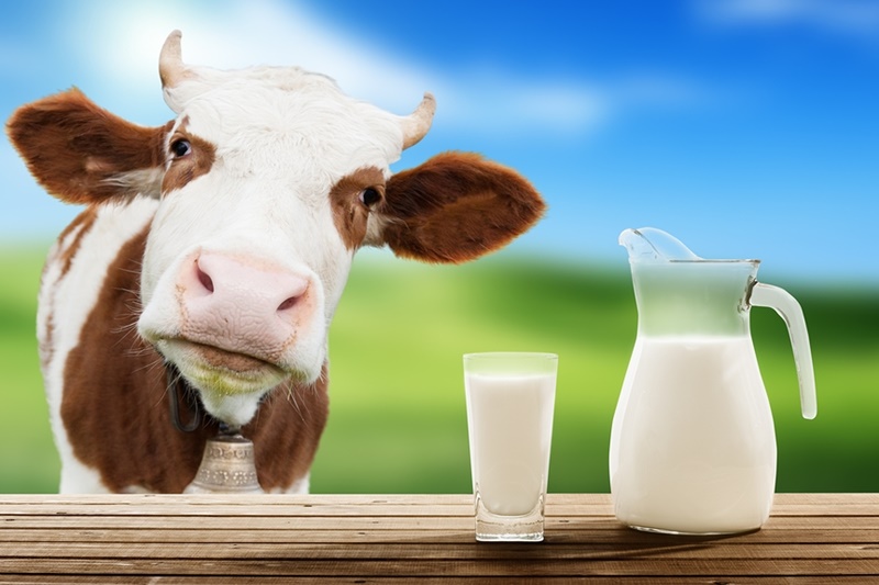 Blog 5: Animal Milk Issues - FUNCTIONAL MEDICINE
